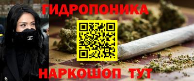 гашик Гусиноозёрск