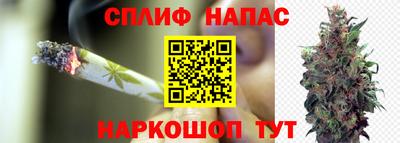 гашик Гусиноозёрск