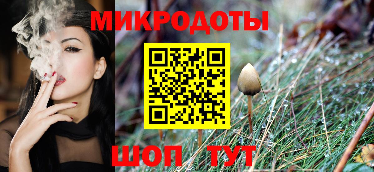 Котовск  Галлюциногенные грибы мицелий  Галлюциногенные грибы Psilocybine cubensis  Вход с VPN 
