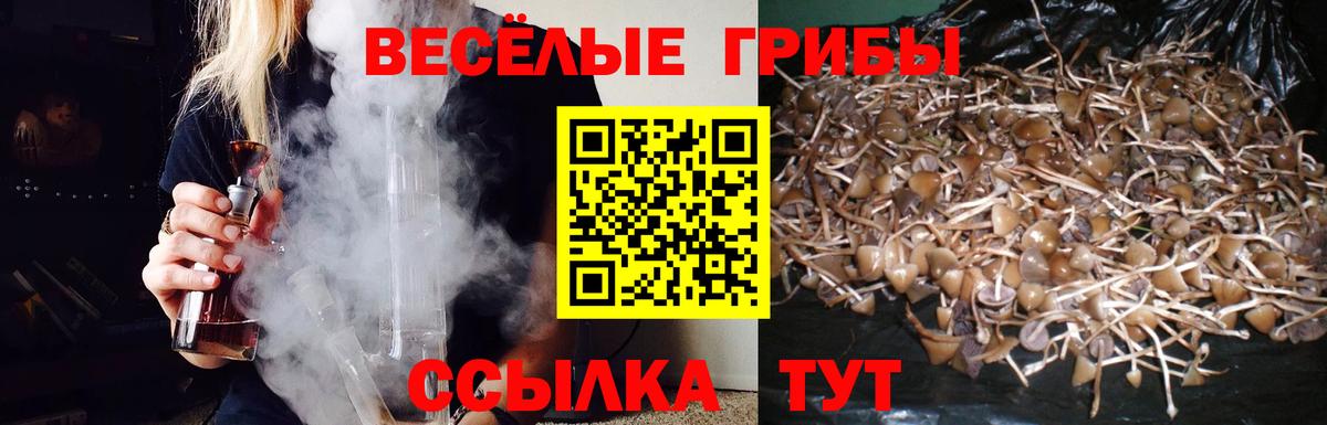 Галлюциногенные грибы мухоморы Котовск