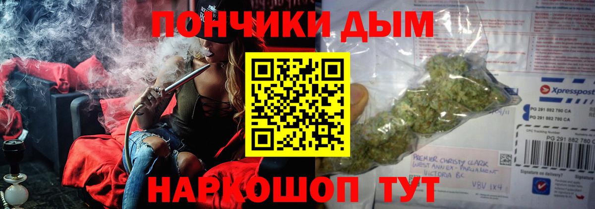 Бошки марихуана семена  Шишки марихуана ГИДРОПОН  Канабис Bruce Banner  Котовск  Вход с VPN  Бошки марихуана сатива 